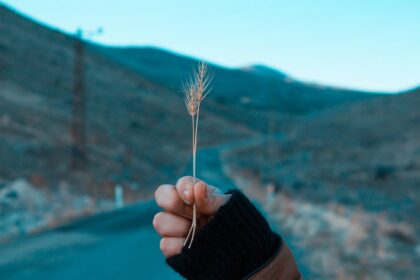 Aksaray Ailece Gezilecek Yerler ve Çocuk Aktiviteleri