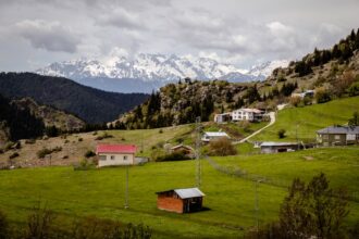 Artvin Doğasında Kaybolun: Yaylalar, Ormanlar, Koylar