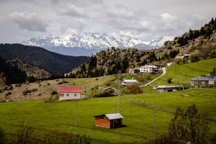 Artvin’in Neyi Meşhur? Hediyelikler ve Yöresel Ürünler