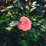 Aydın Gezilecek Yerler ve Yerel Yemeklerle Dolu Bir Gün