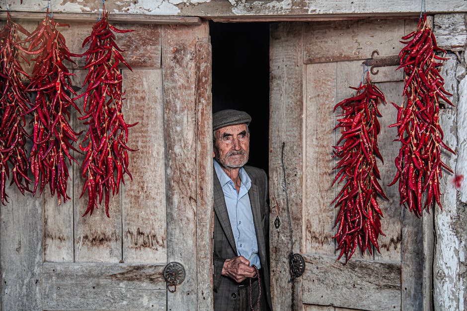 Bilecik Gece Hayatı ve Eğlence Mekanları