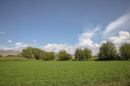 Bingöl Doğasında Kaybolun: Yaylalar, Ormanlar, Koylar